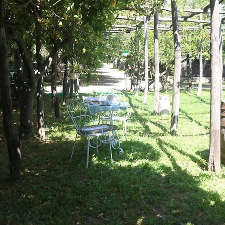 카스텔라마레디스타비아 Emy'S Country House 아파트 외부 사진
