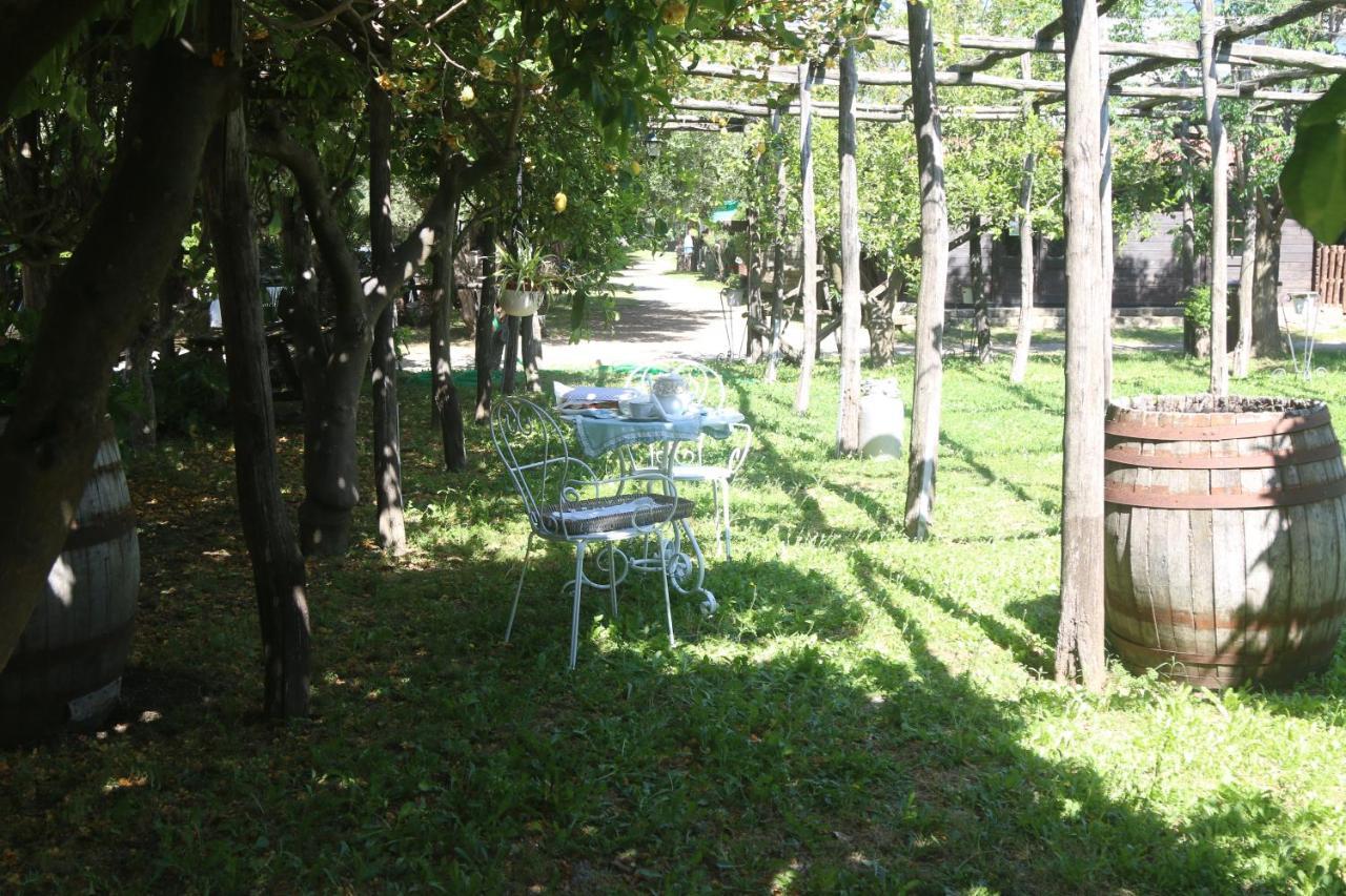 카스텔라마레디스타비아 Emy'S Country House 아파트 외부 사진